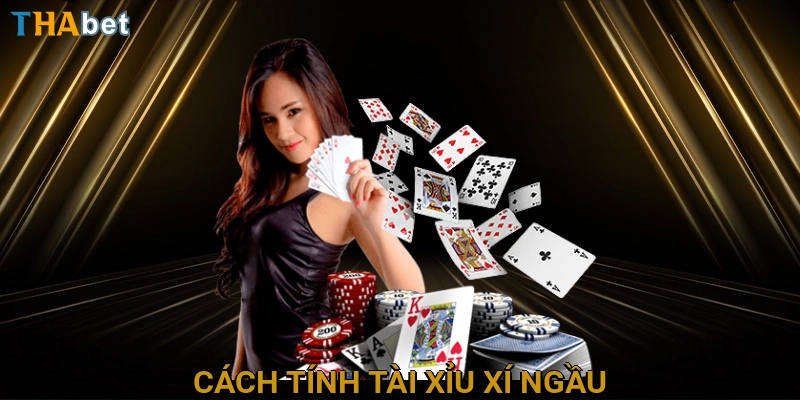 cach-tinh-tai-xiu-xi-ngau