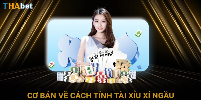 co-ban-ve-cach-tinh-tai-xiu-xi-ngau