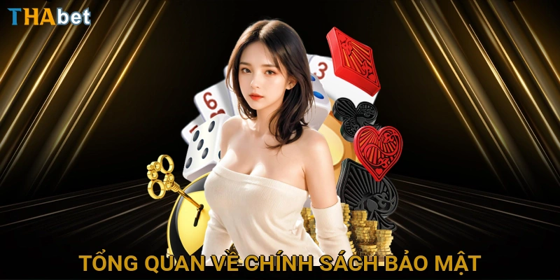 tong-quan-ve-chinh-sach-bao-mat