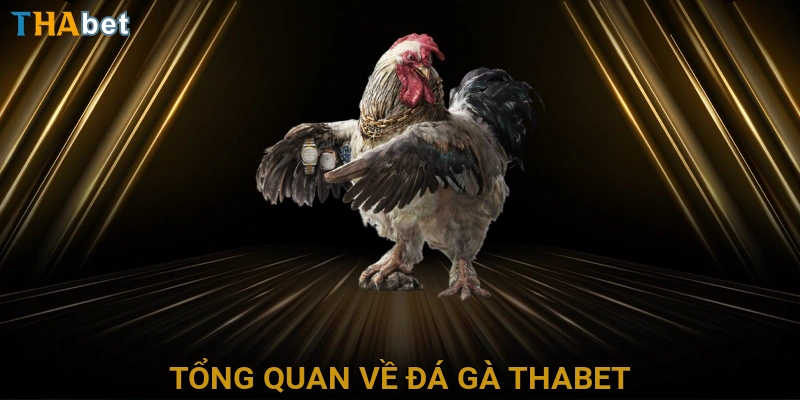 tong-quan-ve-da-ga-thabet