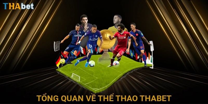 tong-quan-ve-the-thao-thabet