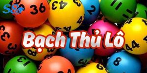 Sơ Lược Về Bạch Thủ Lô Là Gì?